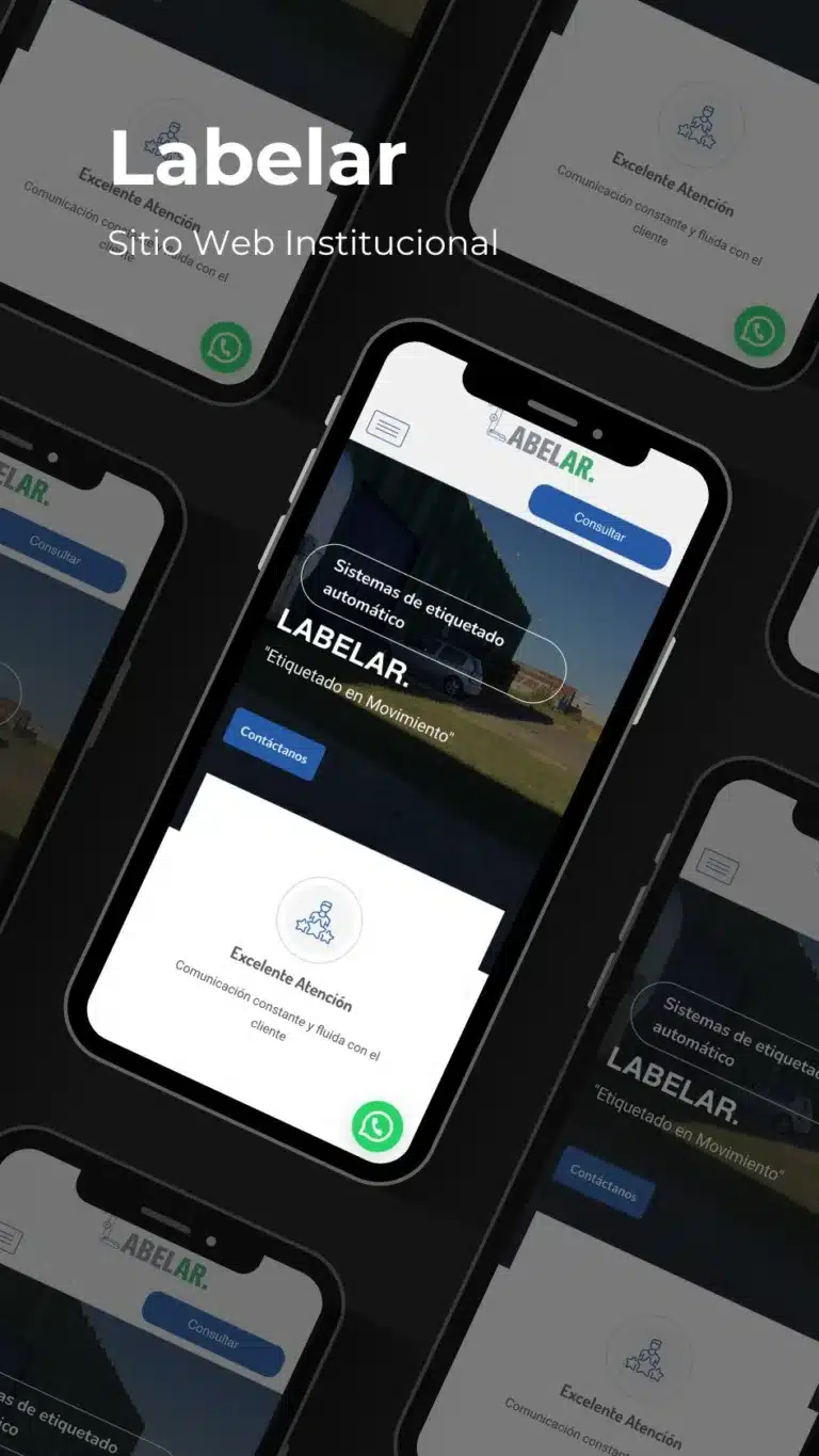 Proyectos 13 Diseño y desarrollo de sitio web institucional en cordoba