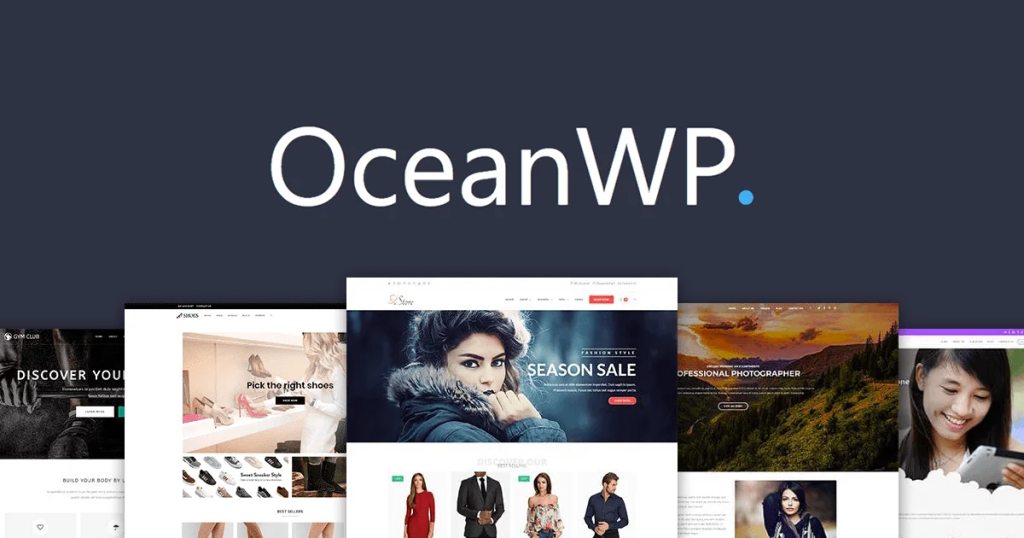 Cuales son los 10 mejores temas para tiendas online en Wordpress 2 image 10